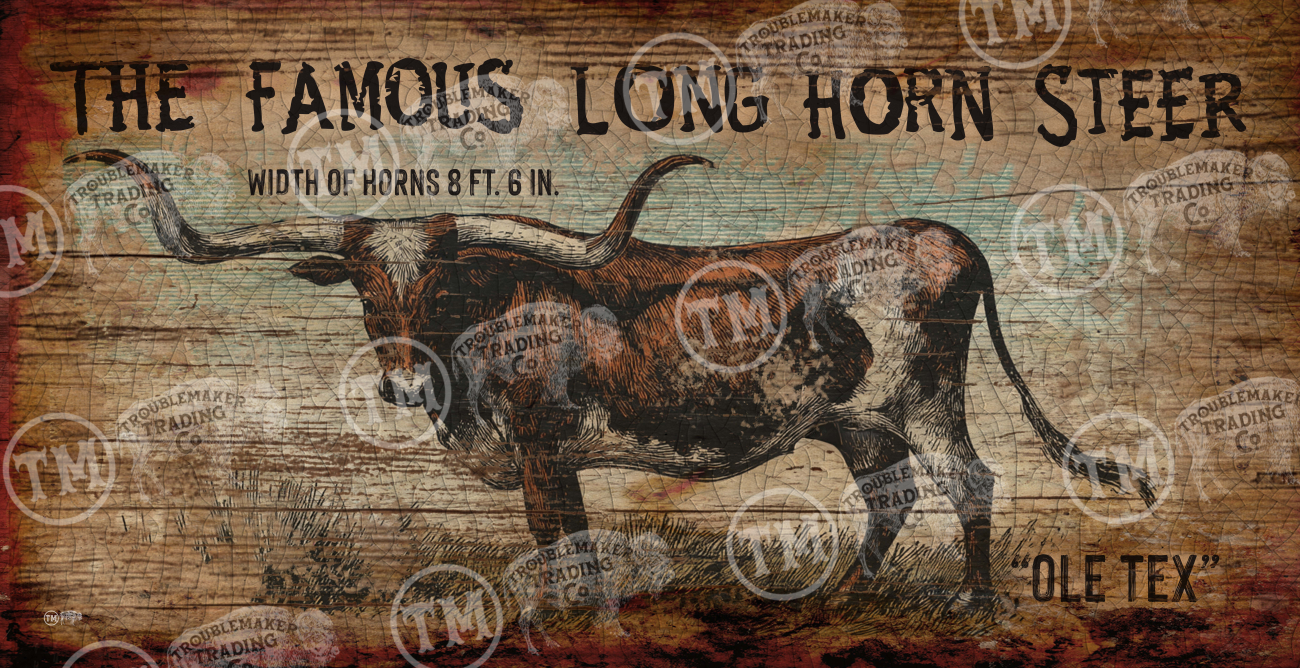 The Famous Long Horn Rustic Sign - 18" x 36" Large Rectangle Artwork