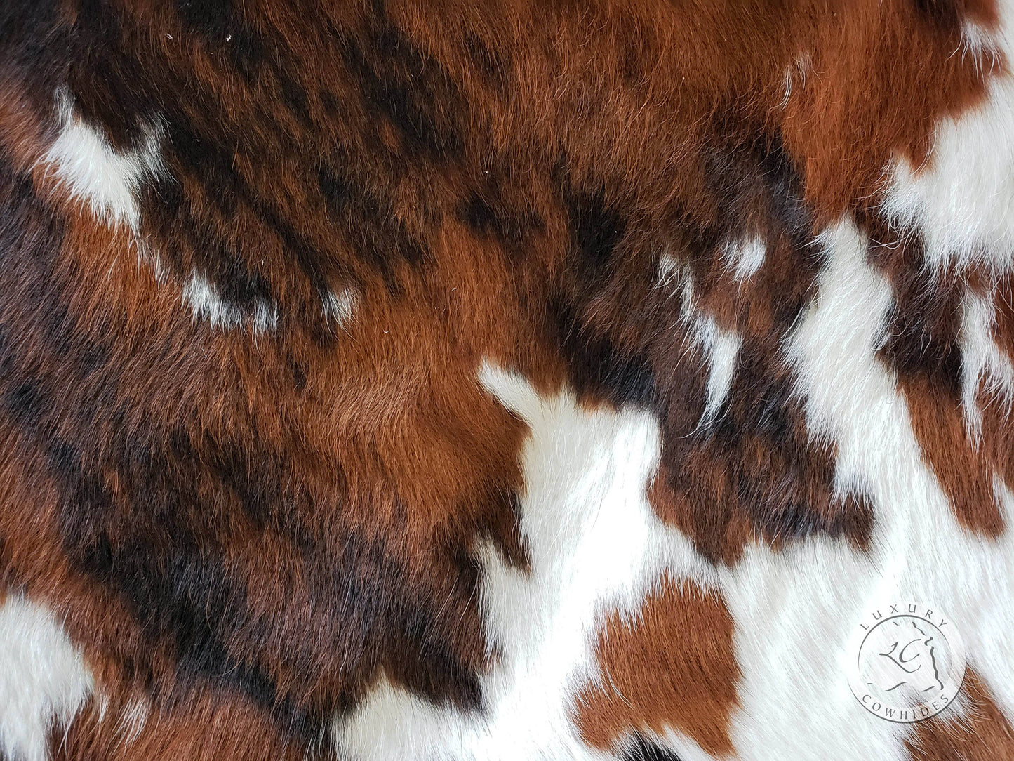 Tricolor Cowhide Rug