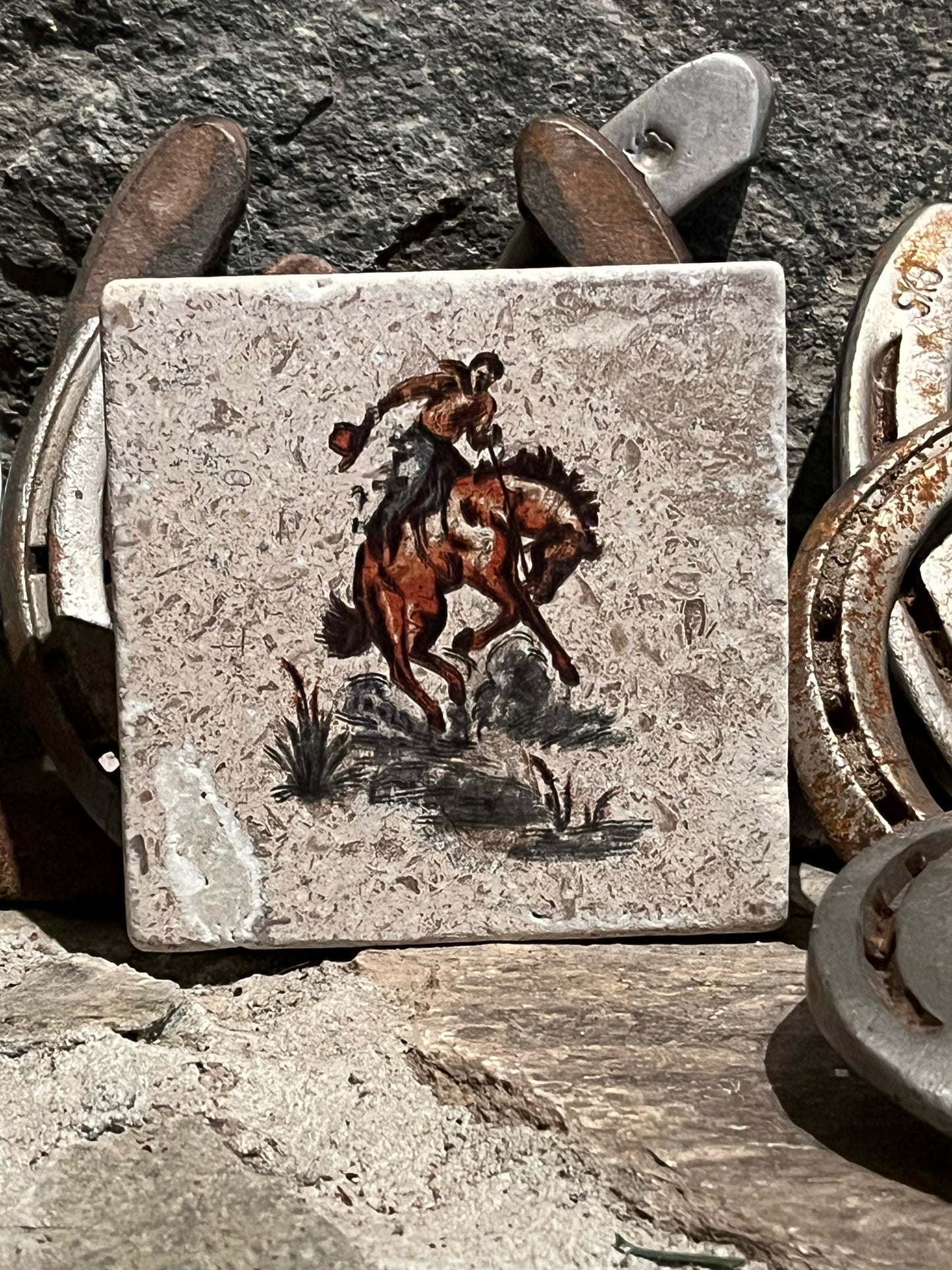 Ranch Life Coasters