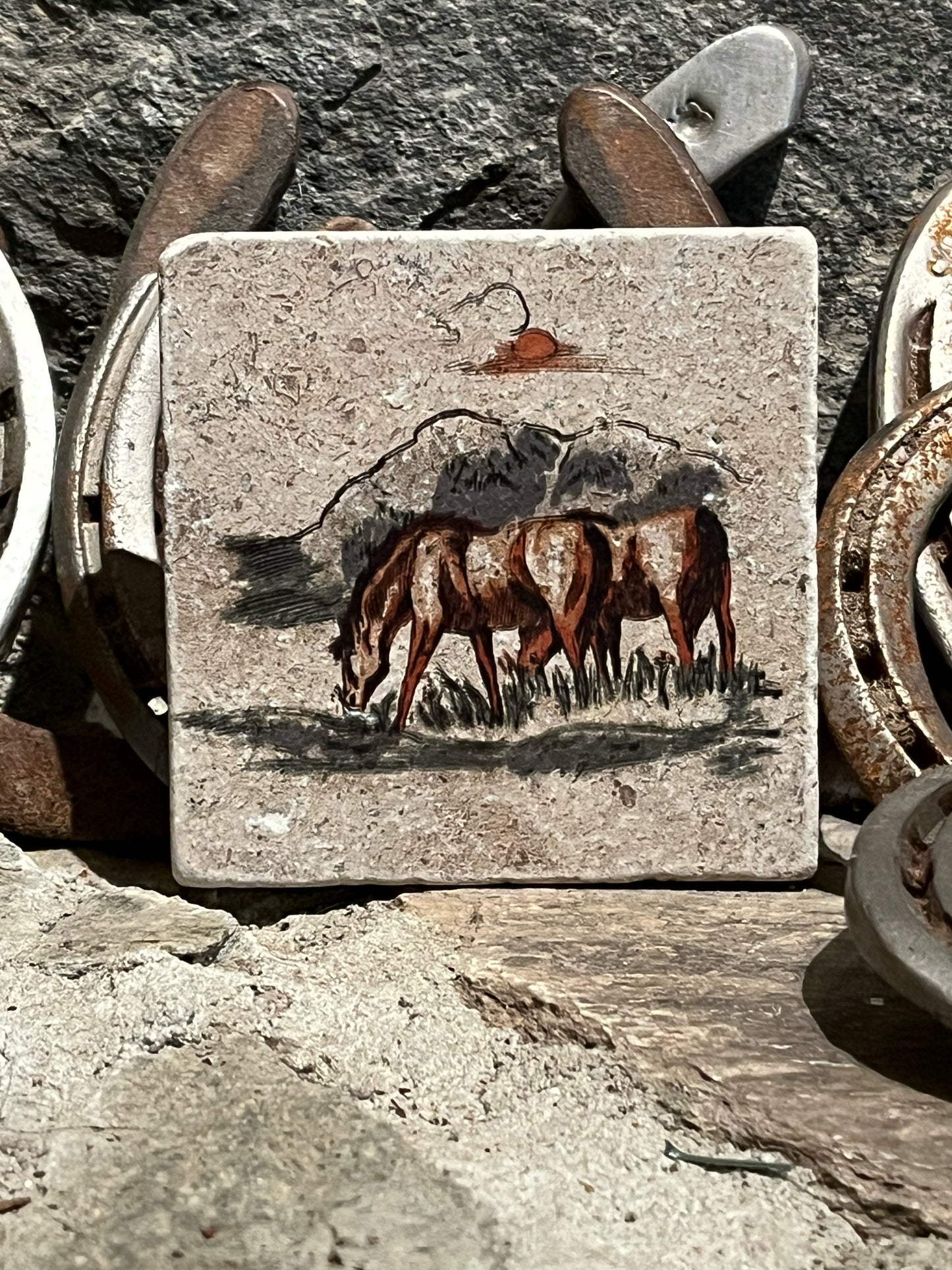 Ranch Life Coasters